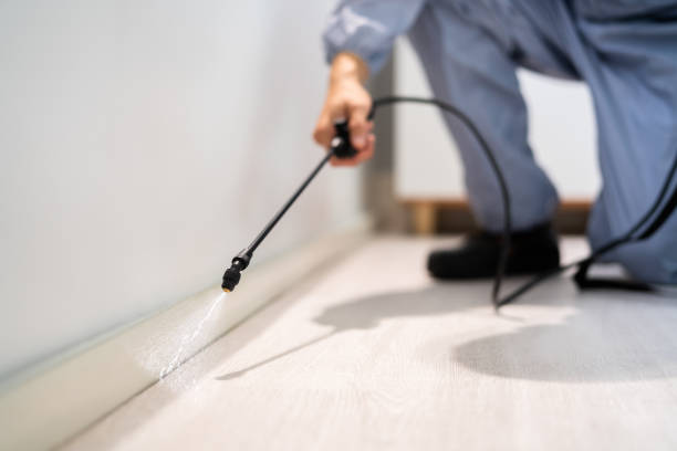 Licensed Termite Control service in Ridgefield, NJ - Nex Pest Control