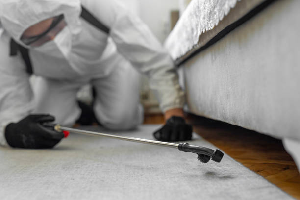 Professional Termite Control technician working in Ridgefield, NJ