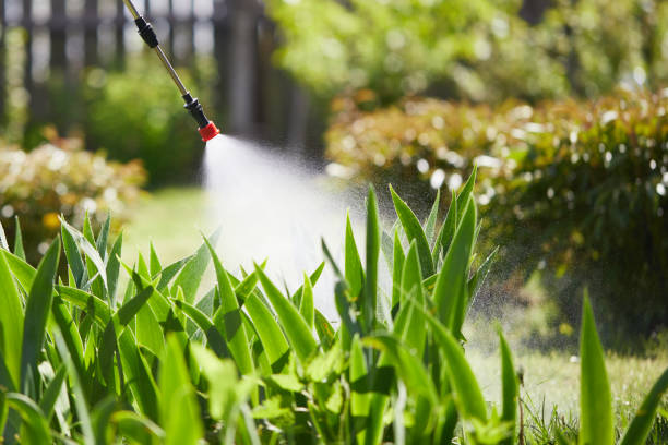 24/7 Emergency Termite Control experts in Ridgefield, NJ