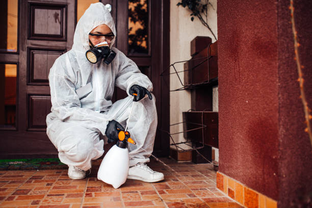 Reliable Termite Control contractor in Ridgefield, NJ by Nex Pest Control